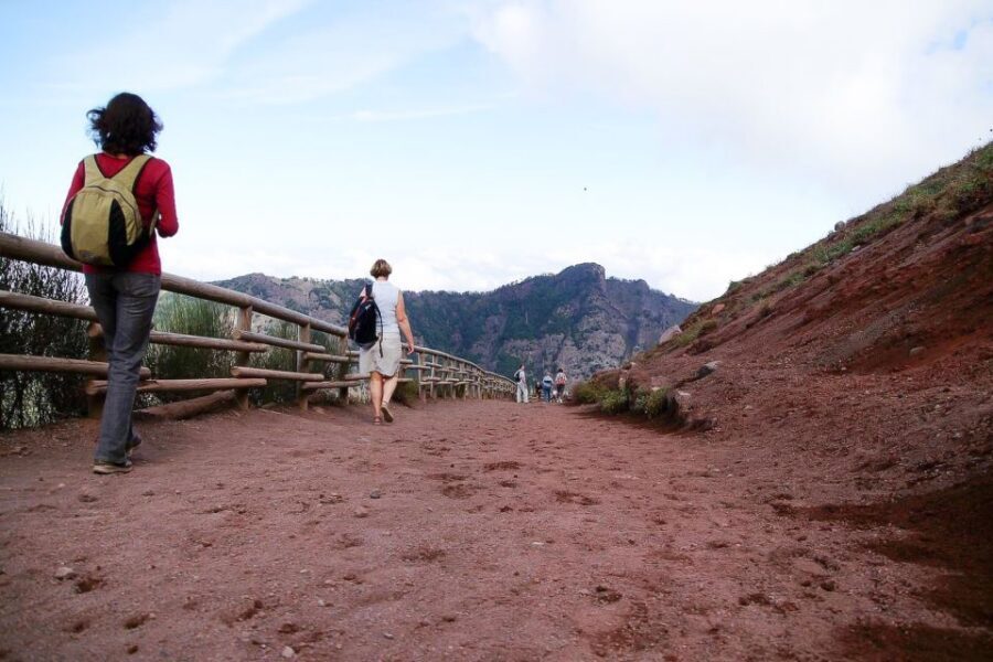 From Sorrento: Pompeii and Vesuvius Tour - Price and Value: Is $135.94 Worth This Day?