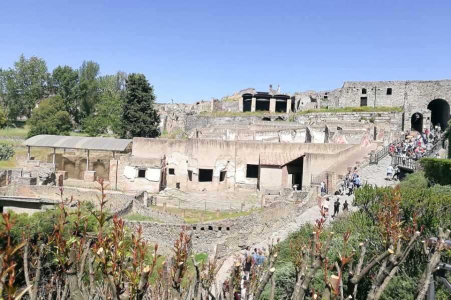 From Sorrento: Pompeii and Vesuvius Tour - Who This Tour Fits Best