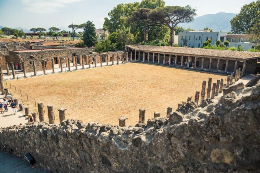 From Sorrento: Pompeii Half-Day Skip-the-Line Tour - Skip-the-line value: is $80.55 worth it?