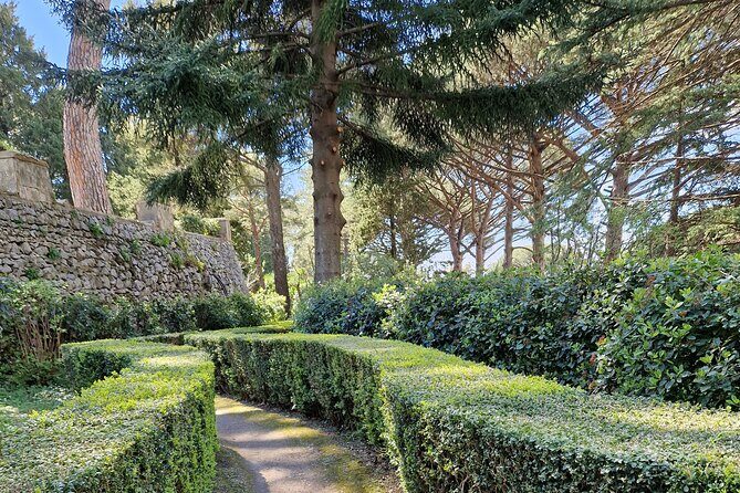Full Day Private Tour of Pompeii and the Amalfi Coast - Price and Value: Is $309.98 a Smart Splurge?
