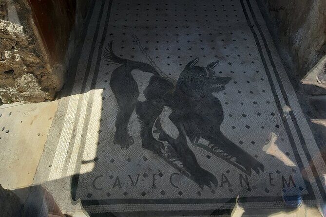 Guided Tours of Pompeii Excavations Historical and Cultural Itineraries - Who should book this Pompeii tour?