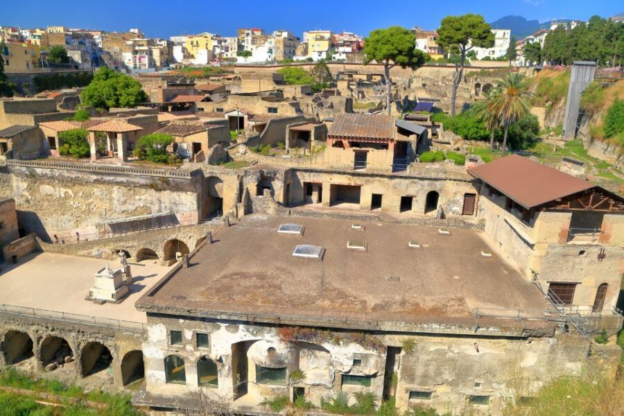 Herculaneum 2-Hour Private Guided Tour - Meet Your Guide and Get Straight Into the Ruins
