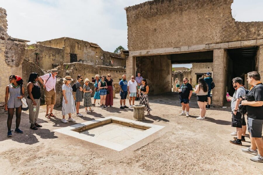 Herculaneum: Skip-the-Line Guided Tour with Archaeologist - Casa dell’Albergo and Casa del Salone Nero: homes (and spaces) with a purpose