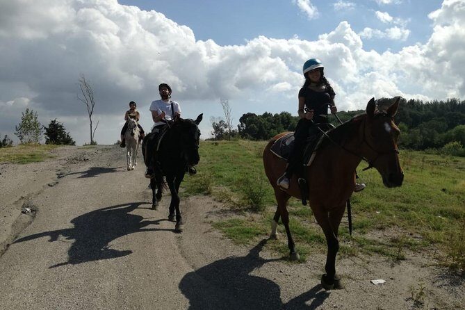 Horse Riding on Mount Vesuvius - 60 minutes on horseback through Vesuvius National Park