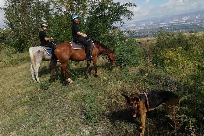 Horse Riding on Mount Vesuvius - Optional horse care: grooming time that makes the day feel personal