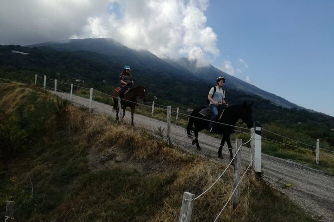 Horse Riding on Mount Vesuvius - Price and value: $84.48 for a private ride plus food