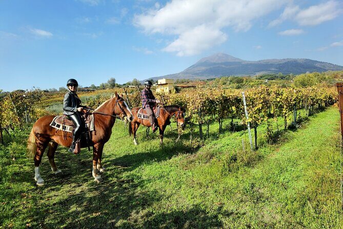 Horseback Riding on Vesuvius - Horseback on Vesuvius: why this works better than a bus ride