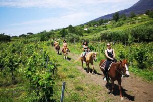 Horseback Riding on Vesuvius - The ride feel: slow-paced trail riding with first-timers in mind