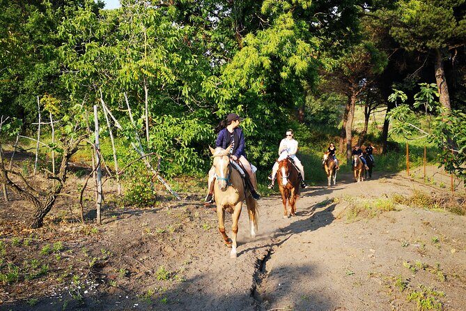 Horseback Riding on Vesuvius - Price and value: what $78.64 buys you in the real world