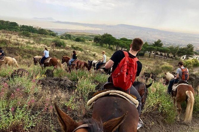 Mount Vesuvius Guided Horse Riding Tour with Sample Wine - The viewpoint over Naples Bay: the moment you’ll remember