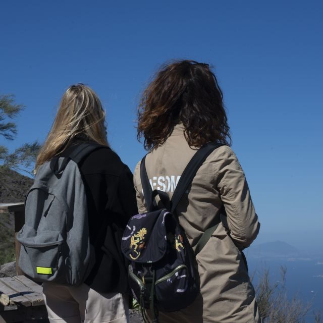 Mount Vesuvius: Skip-the-Line Ticket and Smart Digital Guide - What This Mount Vesuvius Ticket Really Gives You
