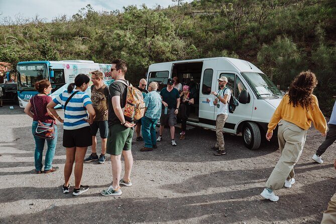 Mount Vesuvius Tour from Pompeii Led by an Expert Guide - Price and Value: Is $78.64 a Good Deal?