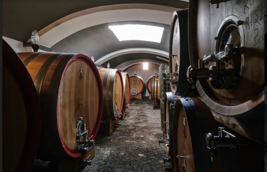 Mount Vesuvius: Vineyard Tour with Wine Tasting and Lunch - Lunch with a view: eating local dishes paired with wine vinegar and olive oil