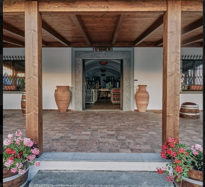 Mount Vesuvius: Vineyard Tour with Wine Tasting and Lunch - Getting there from Naples or a cruise: logistics that can make or break the day