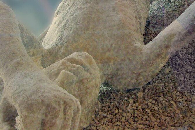 Mt Vesuvius and Pompeii Tour by Bus from Sorrento - Lunch Timing: Your Choice Shapes the Middle of the Day