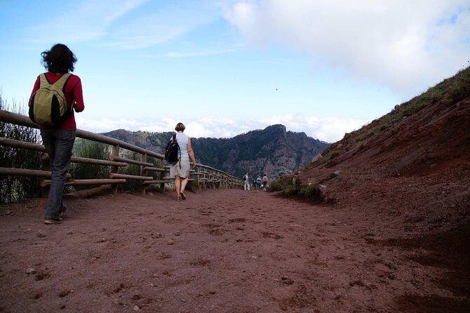 Mt Vesuvius and Pompeii Tour by Bus from Sorrento - Mt Vesuvius National Park: From 1,000 Meters to the Crater View