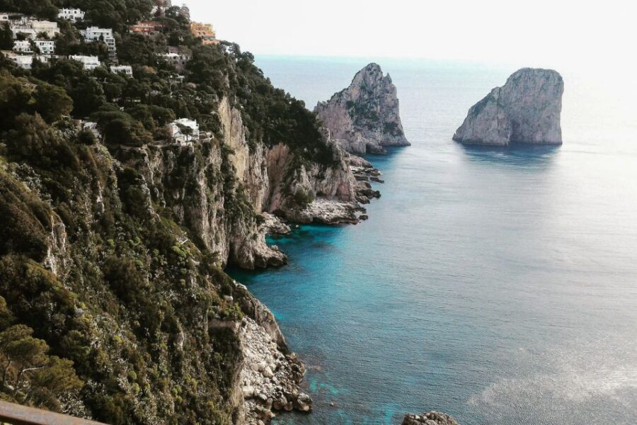 Naples: Day Trip to Pompeii and Capri - Pompeii to Capri: the best kind of one-day Naples combo