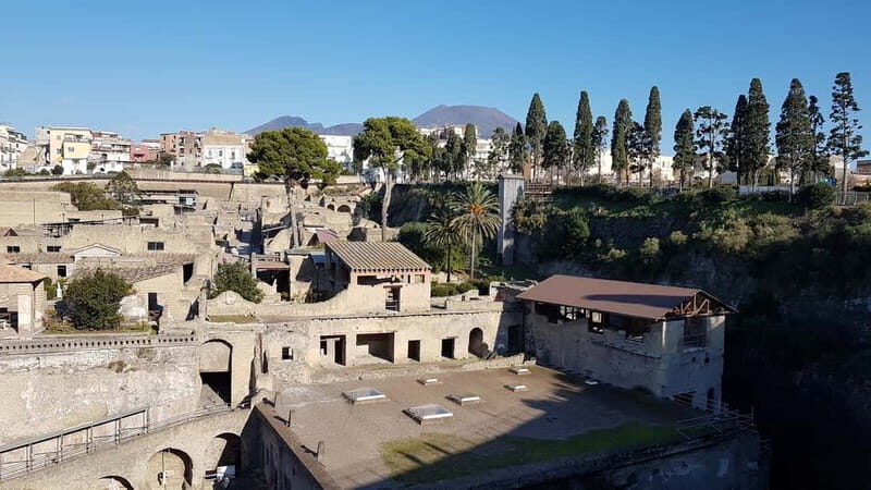 Naples: Herculaneum and Vesuvius Day Trip - The Vesuvius climb: bus up, hike the last stretch, crater views