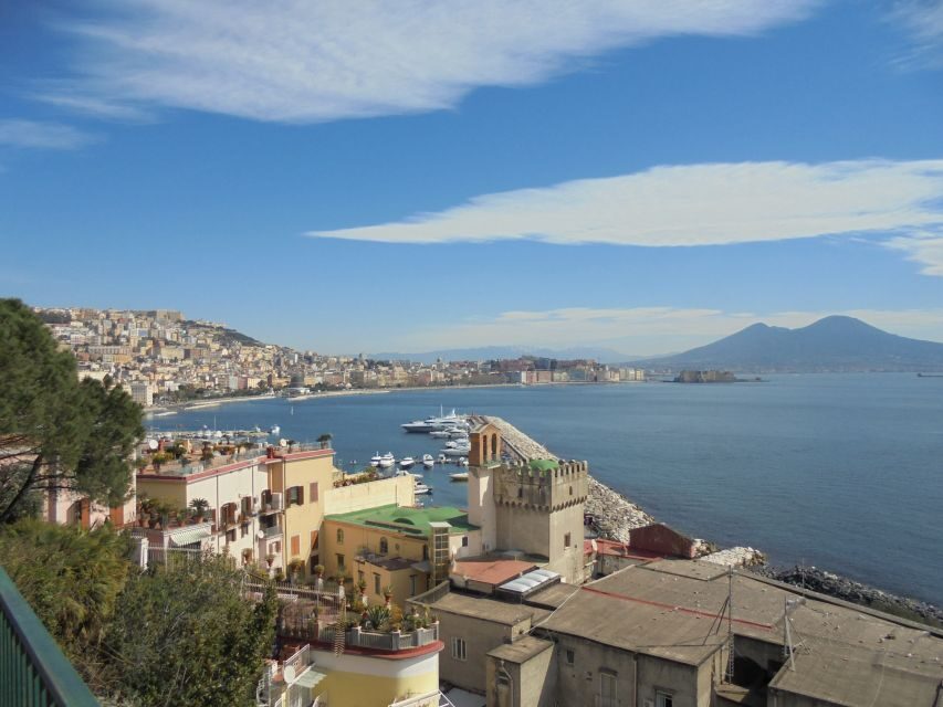 Naples: Naples, Pompeii, and Vesuvius Full-Day Tour - Key things to know before you go