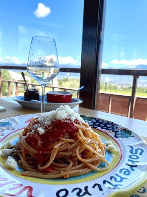 Naples: Pompeii and Herculaneum Tour with Tickets and Lunch - Getting From Naples: Pickup Options, Van Comfort, and When to Be Ready