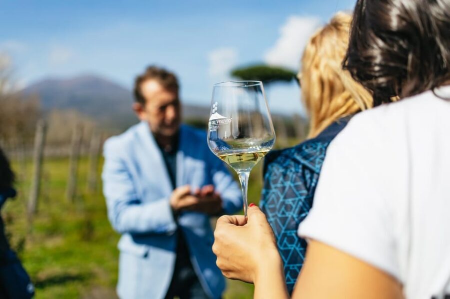 Naples: Pompeii and Mt. Vesuvius with Lunch and Wine Tasting - Key points I’d bet on