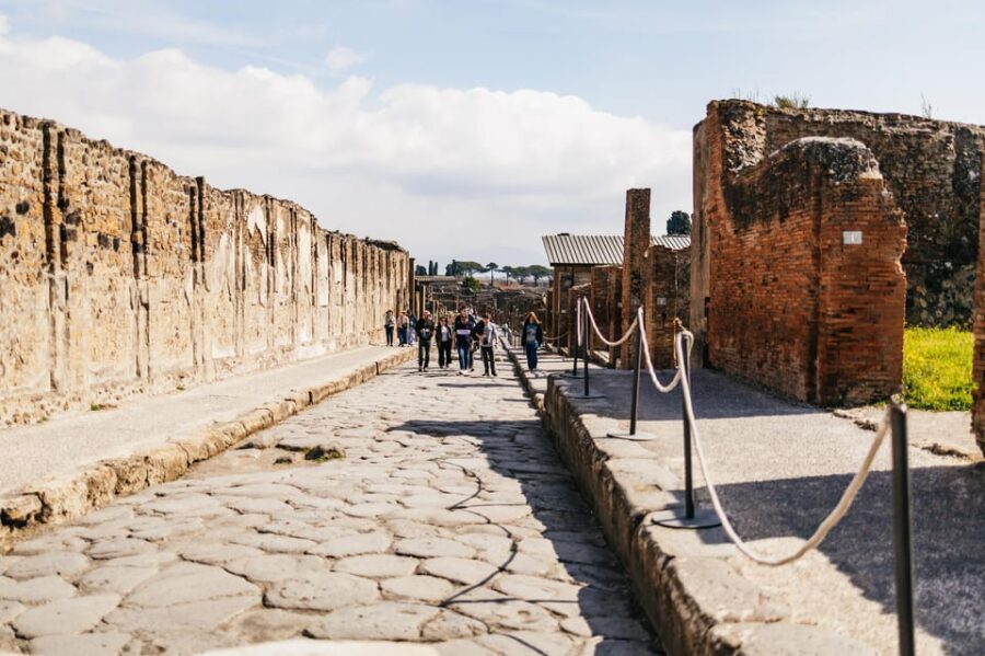 Naples: Pompeii and Mt. Vesuvius with Lunch and Wine Tasting - From Ruins to Vines: Lunch and Wine on the Vesuvius Side