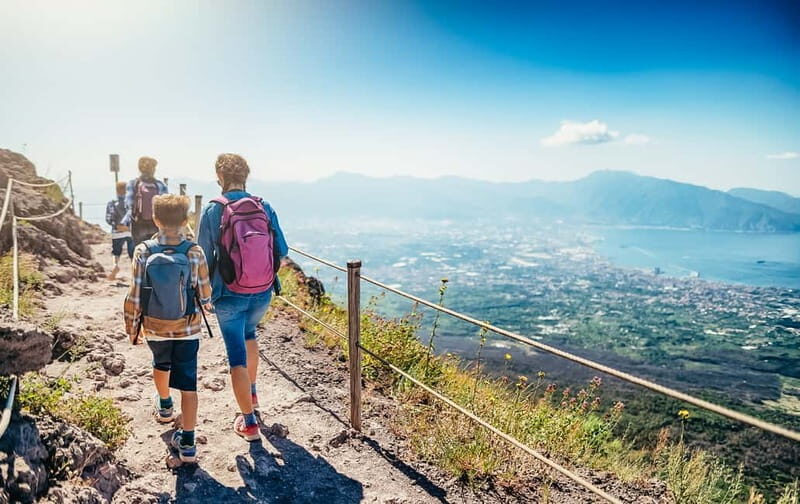 Naples: Pompeii and Vesuvius Day Trip - Comfortable Pickup and the Drive Through Vesuvius National Park