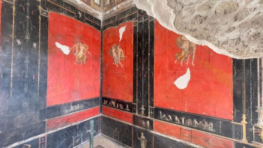 Naples: Pompeii Archaeology Park Tour & Skip-the-Line Entry - Price and Value: Is $63 Good for Skip-the-Line + Transport?