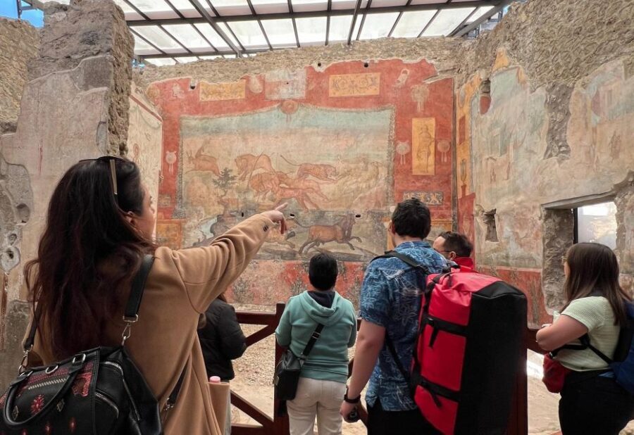 Naples: Pompeii & Mt. Vesuvius Day Trip with Tickets & Lunch - Is $126.65 a fair deal for Pompeii and Vesuvius in one day?