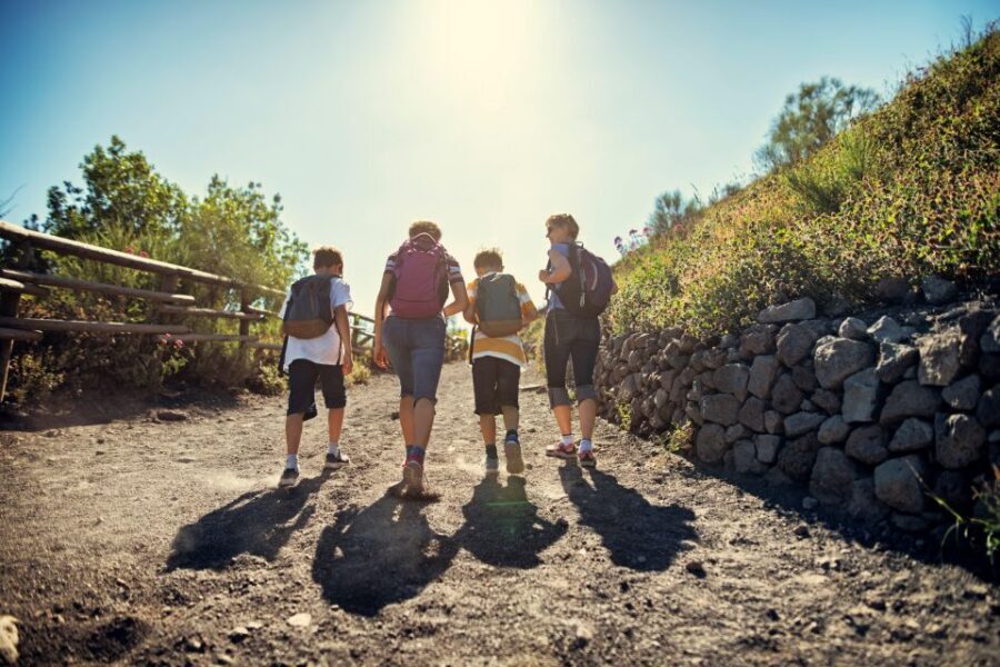 Naples: Pompeii & Mt. Vesuvius Day Trip with Tickets & Lunch - Mt. Vesuvius route choice: Crater walk or the Valley of Hell