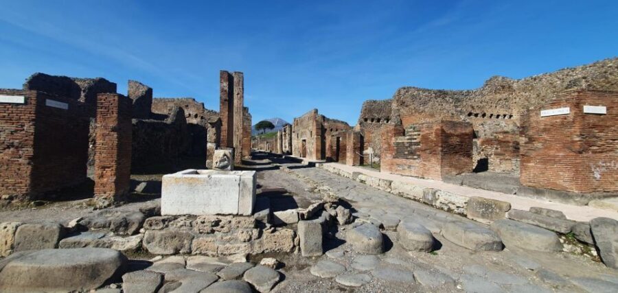 Naples: Pompeii & Mt. Vesuvius Day Trip with Tickets & Lunch - Walking reality: uneven terrain, unpaved trails, and who should opt out