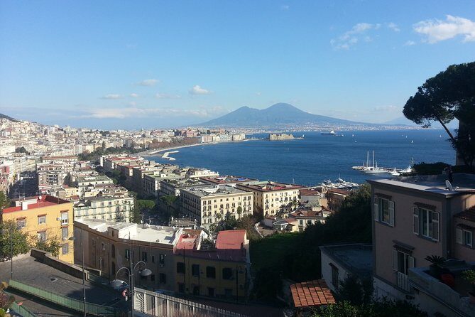 Naples Shore Excursion: Naples City and Pompeii Half Day Sightseeing Tour - Piazza del Plebiscito and the Royal Palace zone