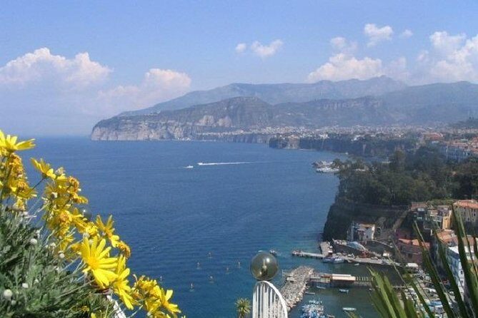 Naples Shore Excursion: Pompeii and Sorrento Day Trip - Naples pickup and cruise-day logistics: where time gets won or lost