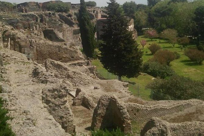 Naples Shore Excursion: Pompeii Half Day Trip from Naples - Worry-Free Return to the Ship: How Much Backup You Really Need