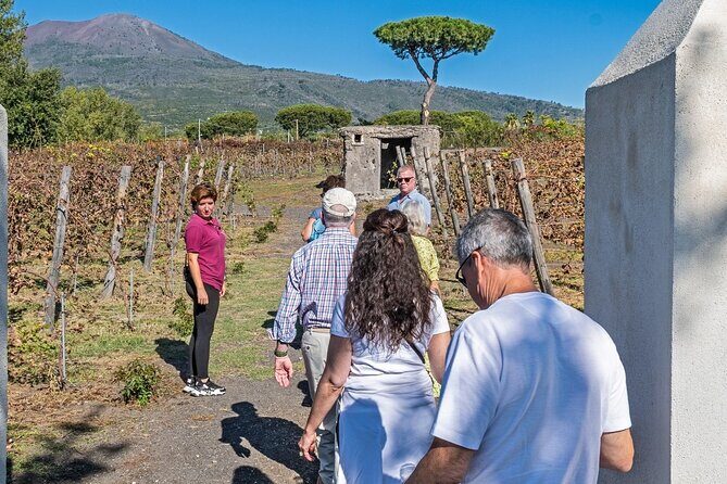 Naples: Tour of Mt Vesuvius and Pompeii w/ Lunch & Wine tasting - What to pack and how to handle sudden weather