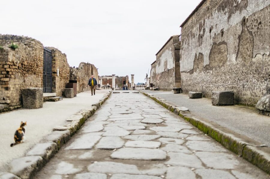 Pompeii: Afternoon to Sunset Guided Tour with Ticket - Pacing, Group Size, and Comfort on the Ground