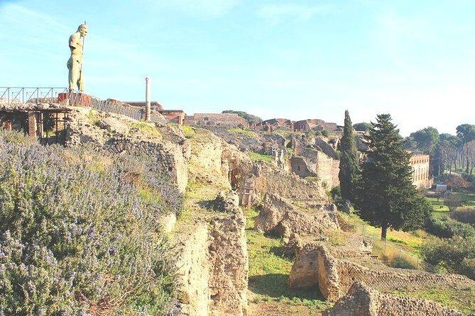 Pompeii and Herculaneum Private Tour with Native Guide and Skip the Line Tickets - Timing, pacing, and physical comfort for a 5-hour schedule