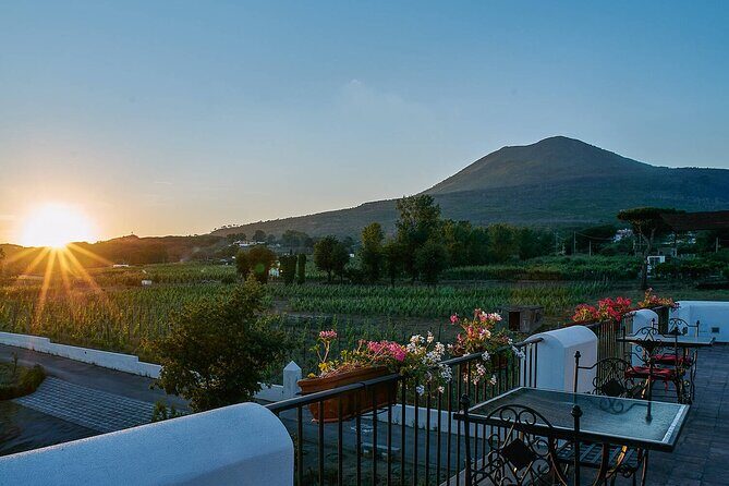 Pompeii and Naples from Rome: Small Group Day Tour with Lunch - Rome hotel pickup and the pace of a 7:00 am start