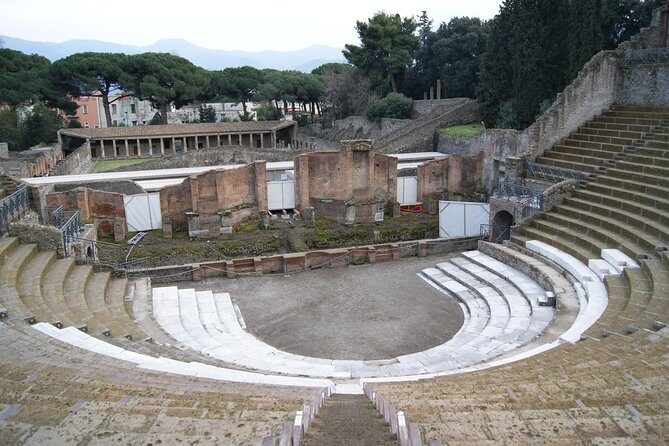 Pompeii and Vesuvius Small Group Tour From Naples with Pizza - Pickup, meeting point, and how the day starts
