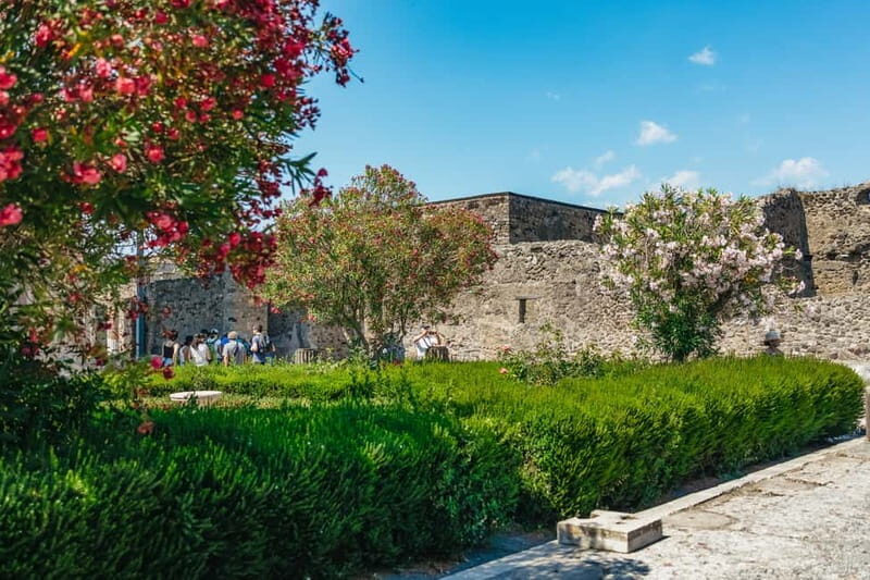 Pompeii: Archaeological Park Tour with Ticket on request - Walking ancient streets: seeing everyday life, not just ruins