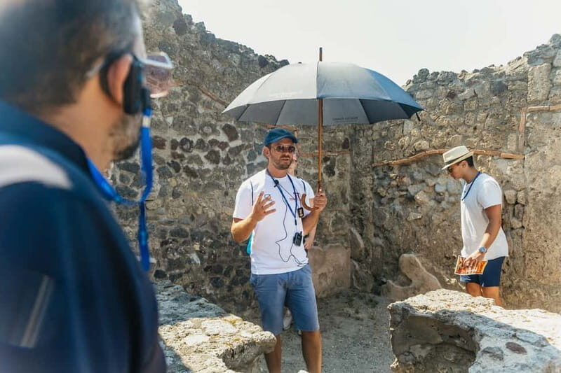 Pompeii: Archaeological Park Tour with Ticket on request - Crowd control, heat, and photo timing that actually help