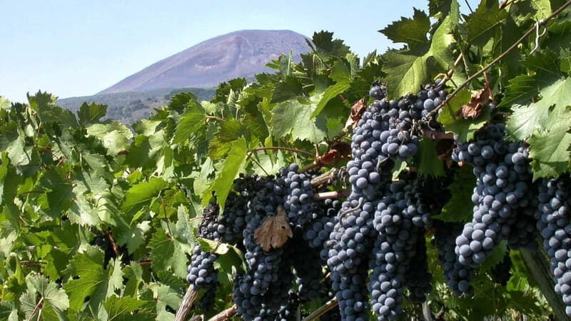 Pompeii: Archeological Tour & Wine Tasting at Mt. Vesuvius - The “2 hours in Pompeii” reality check (and how to not miss things)