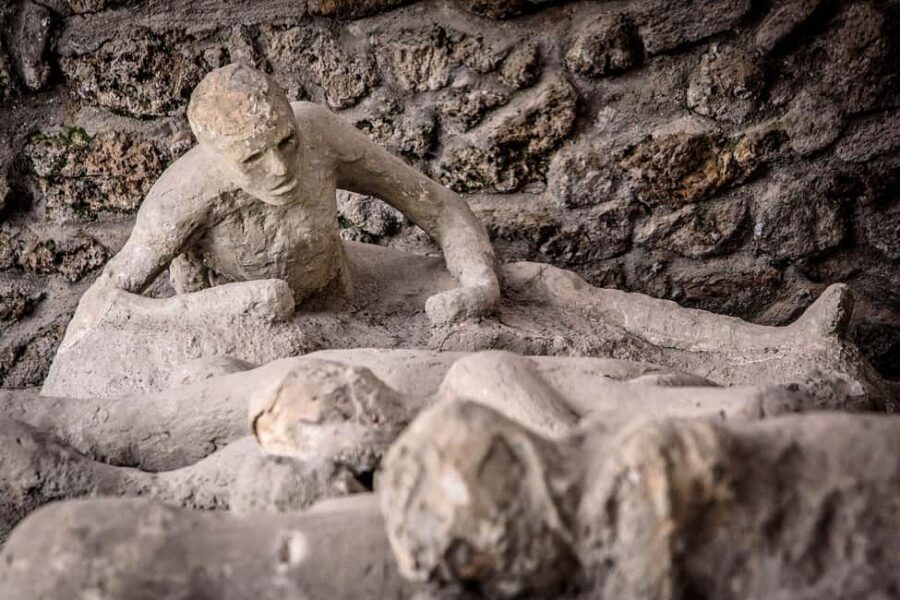 Pompeii: Archeological Tour & Wine Tasting at Mt. Vesuvius - Price and value: what $135.94 buys you here