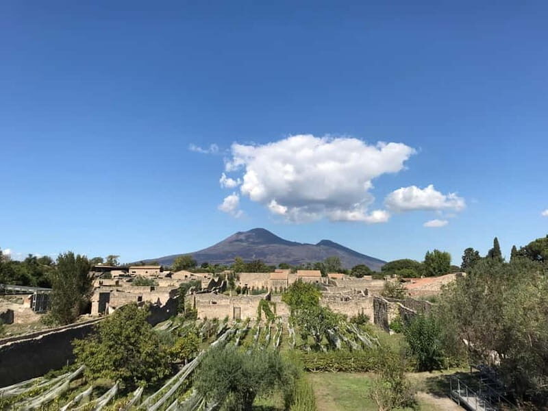Pompeii: Archeological Tour & Wine Tasting at Mt. Vesuvius - Who should book this Pompeii plus wine at Vesuvius tour?
