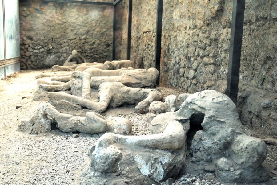 Pompeii: Entry Ticket with Optional Audio Guide - Key highlights worth planning around