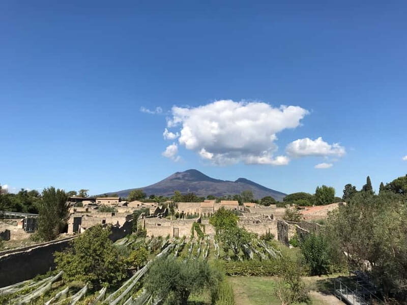 Pompeii: Exclusive Tour with Archaeologist and Entry Tickets - Skip-the-Line Tickets: What You Actually Gain
