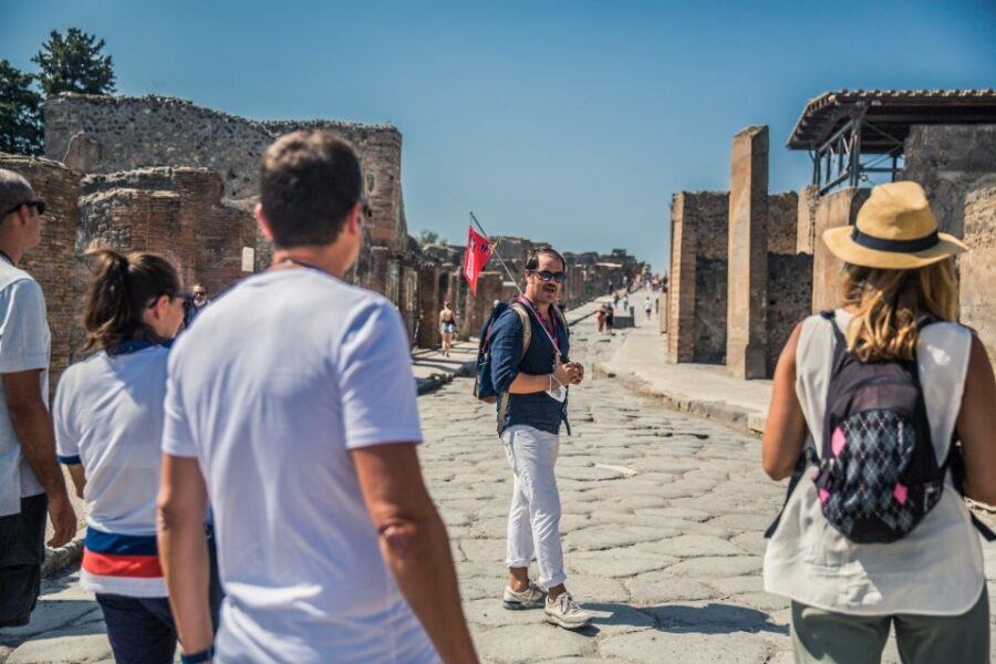 Pompeii: Guided Tour and Skip-the-Line Ticket - The House of the Faun and the Alexander Mosaic moment