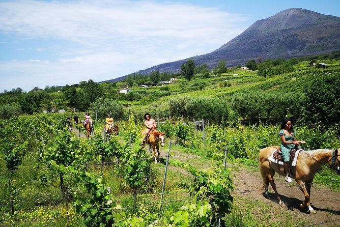 Pompeii Guided Tour & Horse Riding on Vesuvius with Lunch - Pompeii in a tight window with a guide who sets your bearings