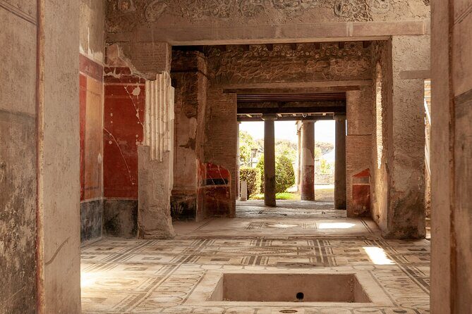 Pompeii Guided Tour & Lunch with Superior Wine Tasting - Pompeii in 2 hours: what you get and what you don’t