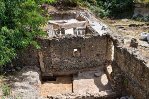 Pompeii Guided Tour & Lunch with Superior Wine Tasting - Why the Trecase stop works: views plus a real wine setting